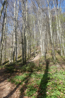 2025-04-08-SAC-RS-KummenSchlos-08