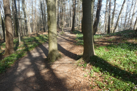 2025-04-08-SAC-RS-KummenSchlos-20