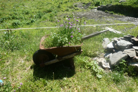2025-06-24-SAC-RS-Sen-Batoeni-106