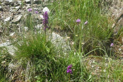 2025-06-24-SAC-RS-Sen-Batoeni-117