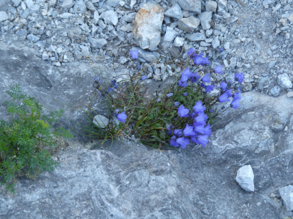 2025-08-12-SAC-RS-Alpspitz-FL-021
