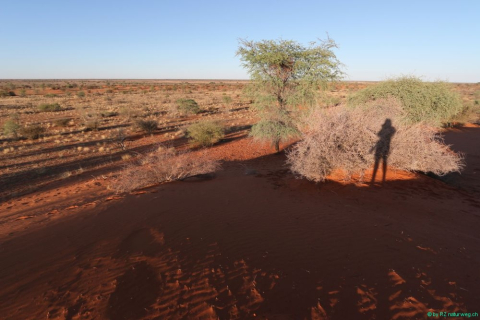 2016 11 27 Namib Fish River-058-1_bearbeitet-1