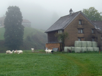 2025-09-23-SAC-Jakob-Scheidegg-03_bearbeitet-1