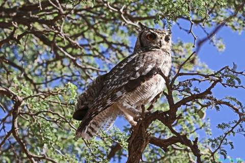 2016 11 27 Namib Fish River-417-1_bearbeitet-1