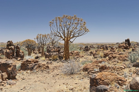 2016 11 27 Namib Fish River-513-1_bearbeitet-1