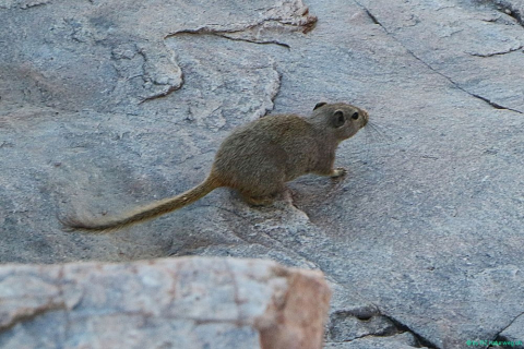 2016 11 27 Namib Fish River-661-1_bearbeitet-1