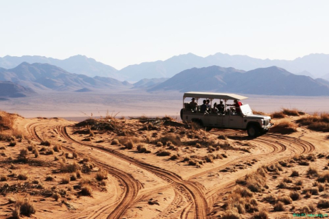 2016 11 28 Namib RandNaturpark-402-1_bearbeitet-1