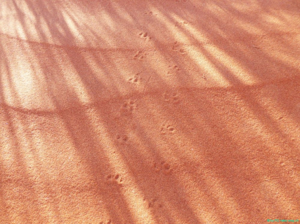 2016 11 29 Namib RandNaturpark-295-1_bearbeitet-1