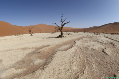 2016 11 30 Namib Naukluft NP-323-1