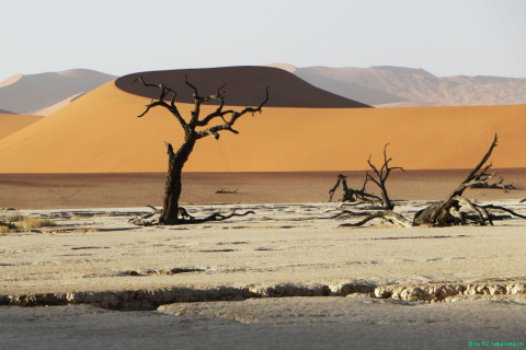 2016 11 30 Namib Naukluft NP-439_bearbeitet-1