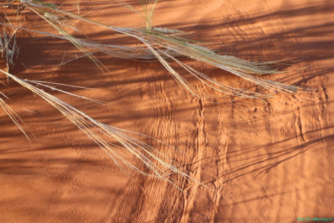 2016 12 01 Namib Sossusvlei-650_bearbeitet-1