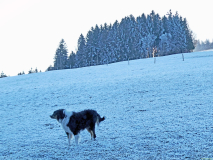 2025-12-31-SAC-RS-Chastenloch-20_bearbeitet-1