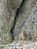 2026-01-06-SAC-RS-Hundwiler-Hoe-35_bearbeitet-2
