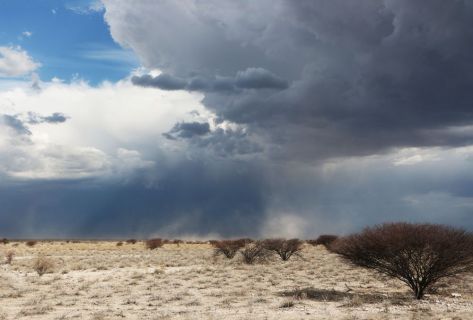 2016 12 06 Namib Etosha NP-420-1_bearbeitet-1