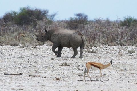 2016 12 07 Namib Otjiwarongo-006-1_bearbeitet-1
