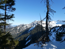 2026-01-20-SAC-Ski-LaternsNobs-052