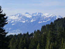 2026-01-20-SAC-Ski-LaternsNobs-115_bearbeitet-1