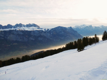 2026-02-05-SAC-SkiSteingaessler-013_bearbeitet-1