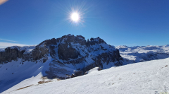 IMG-20260205-WA0011
