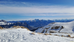 IMG-20260205-WA0012