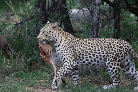 2016 12 08 Namib Otjiwarongo-0035-1_bearbeitet-1