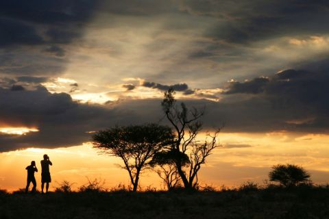 2016 12 08 Namib Otjiwarongo-1051-1_bearbeitet-1
