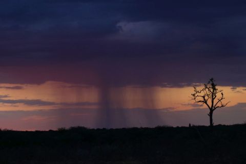 2016 12 08 Namib Otjiwarongo-1115-1_bearbeitet-1