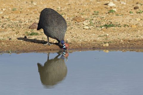 2016 12 09 Namib Windhoek-21-1_bearbeitet-1