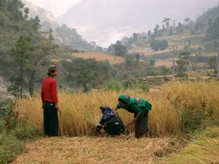 2003 11 07 Nepal Trek 1-3-1