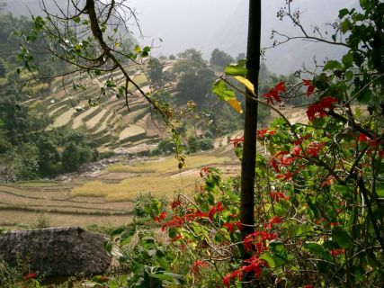 2003 11 07 Nepal Trek 1-7-1