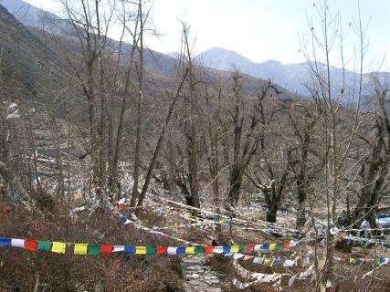 2003 11 17 Nepal Trek 11-26