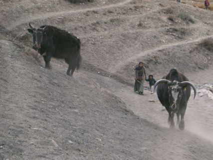 2003 11 17 Nepal Trek 11-42