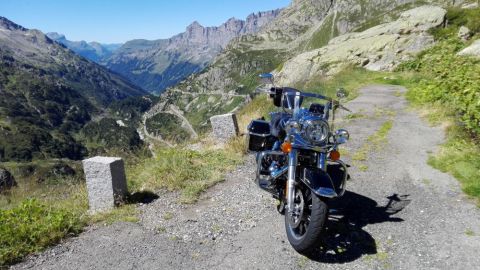 2016 08 23 Harley Susten-13