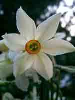 2006-05-03-Gruyeres-Les-A1