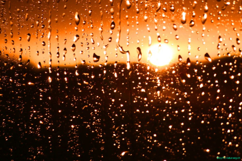 2017 08 08 RZ Abend Schifffenster Seesicht Regen 54