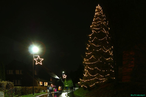 2017 11 25 RZ Stärnäwäg Advent Rberg 40