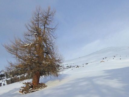 7 2018 02 06 Ski Piz Terza-19_bearbeitet-2