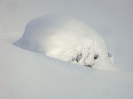 30 2018 02 09 Ski Piz Daint-157_bearbeitet-1