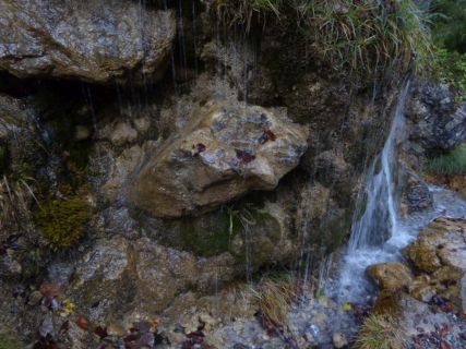 2016 10 09 OM Reise Vorarlberg-36