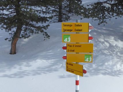 12 2018 02 07 Ski Alp Plazer-041_bearbeitet-1