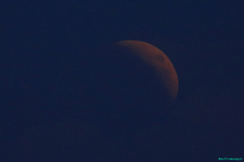 2018 07 27 Mondfinsternis Blut-142_bearbeitet-1