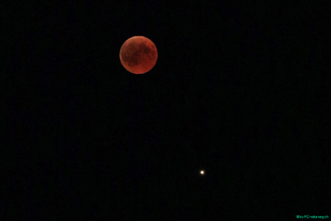 2018 07 27 Mondfinsternis Blut-237_bearbeitet-2