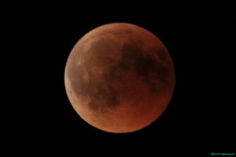 2018 07 27 Mondfinsternis Blut-259_bearbeitet-1