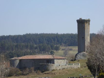 39-2019-F-Via-Podiensis-P1160661