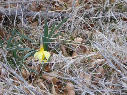 42-2019-F-Via-Podiensis-P1160686