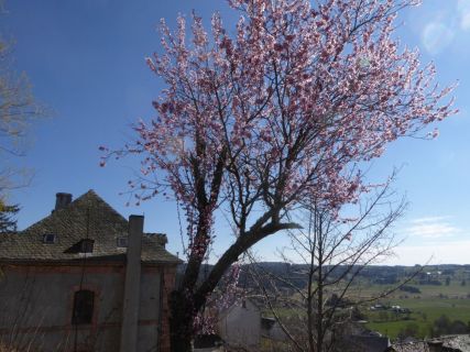 56-2019-F-Via-Podiensis-P1160759