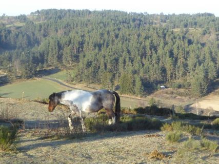 57-2019-F-Via-Podiensis-P1160775
