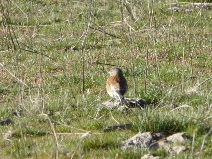 59-2019-F-Via-Podiensis-P1160786
