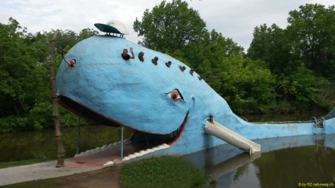 2019-05-26-R66-Catossa-Blue-Whale-E-20190526_100027bearb