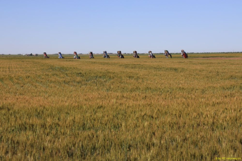 2019-05-28-R66-Amarillo-Cadillac-Ranch-IM_R2664-1-Kopie